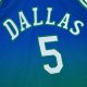 Men's Dallas Mavericks Jason Kidd Mitchell & Ness Green/Navy 1994/95 Hardwood Classics Fadeaway Swingman Player Jersey