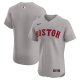 Men's Boston Red Sox Nike Gray Road Elite Jersey