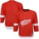 Youth Detroit Red Wings Red Home Blank Premier Jersey