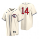 Men's MLB Chicago Cubs Ernie Banks #14 2022 Field of Dreams Cream Jersey